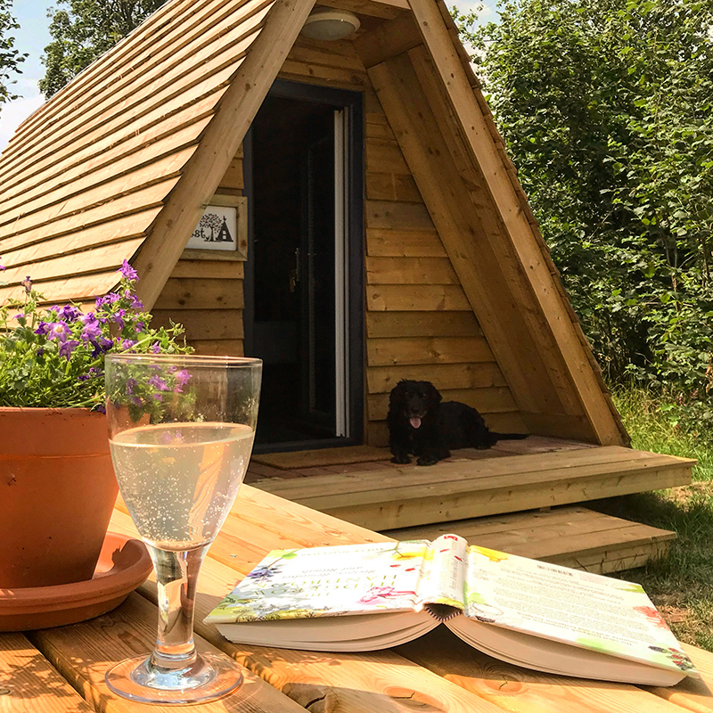 Orchard Organic Farm - A shot of the front of a hens den with a glass of champagne and an open book and plant in a pot on a garden table in the foreground with a black dog laying on the porch of the hens den in the background